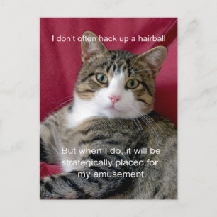 Kattnota Vykort
