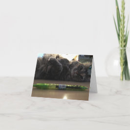 kattnotecard #2 kort