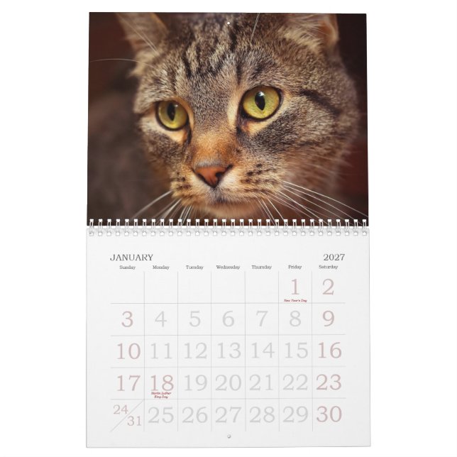 Kattögon Kalender (Jan 2027)