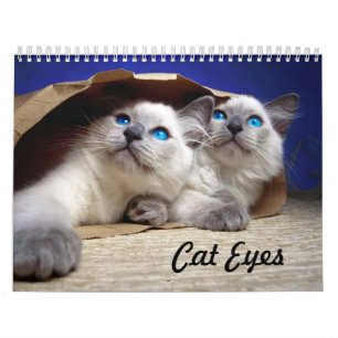 Kattögon Kalender