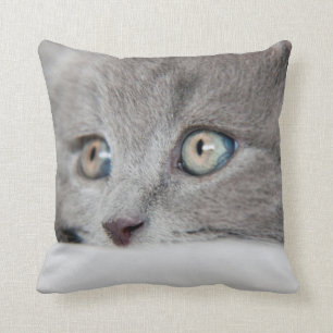 Kattögon Kudde