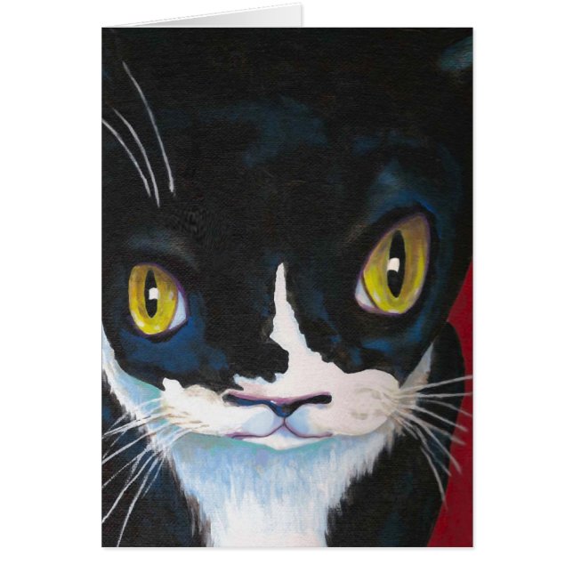 Kattögon OBS Kort (Framsidan)