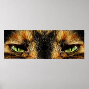 Kattögon Poster