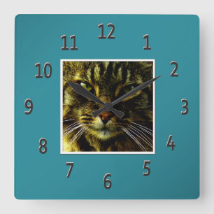 Kattögon som Hypnotizing det kricka inramade Fyrkantig Klocka