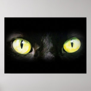 Kattögon, svart och gul stirrande poster