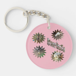 Kattor i stjärnform med Logotyp.