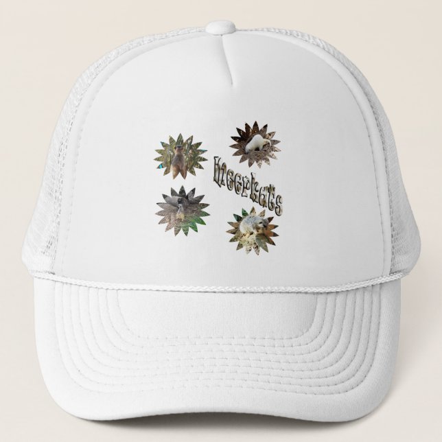 Kattor i stjärnform med Logotyp. Keps (Framsida)