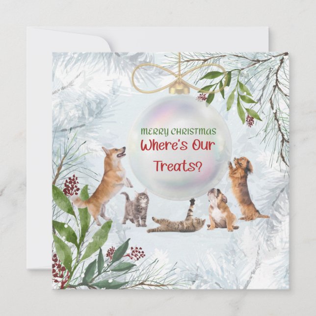 Kattor och Hundar: Cute Animals Card (Framsida)