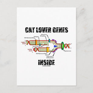 Kattövervens insida (DNA-replikering) Vykort