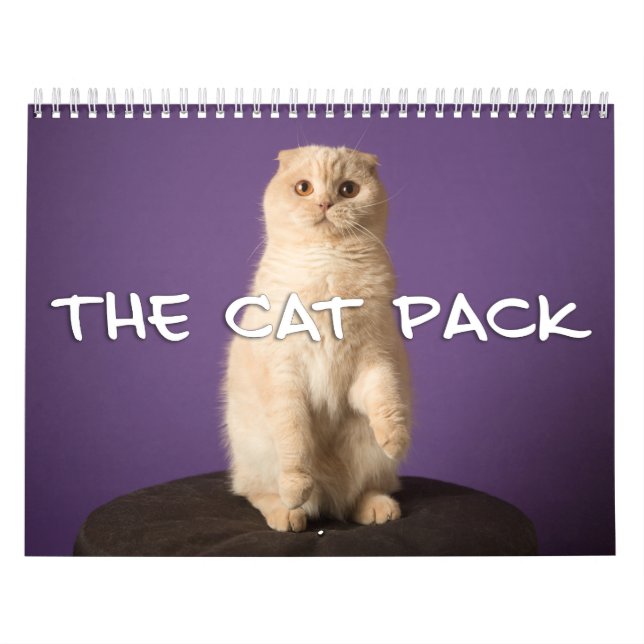 Kattpacken Kalender (Omslag)