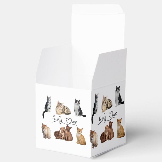 kattpaket, Roligt kattpaket Presentaskar (Öppnad)