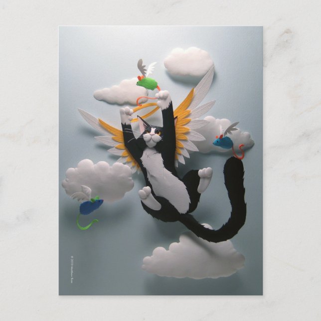 Kattparadis vykort (Framsida)