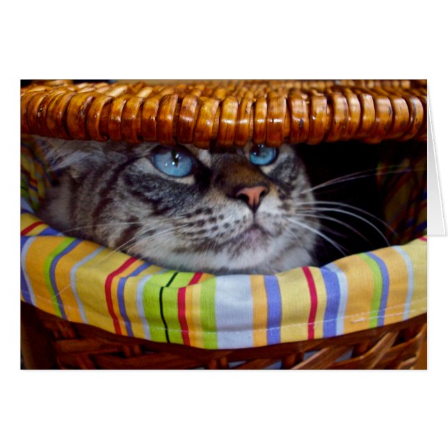 Kattpicknick Hälsningskort (Framsidan Horizontal)