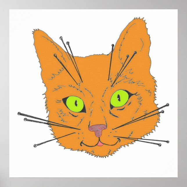 Kattpiskor Poster (Framsidan)