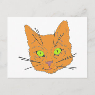 Kattpiskor Vykort