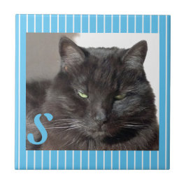 Kattplattan för keramiska personliger kakelplatta