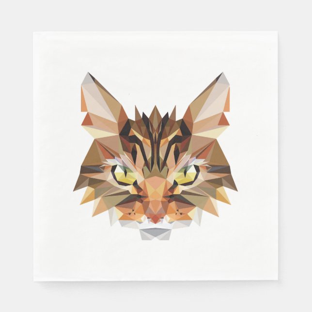 Kattpolygon Pappersservett (Framsidan)