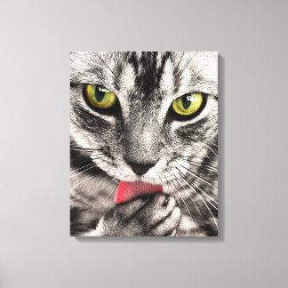 Kattporträtt Canvastryck
