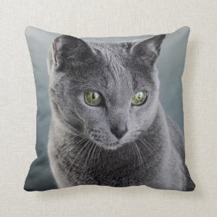 Kattporträtt Kudde