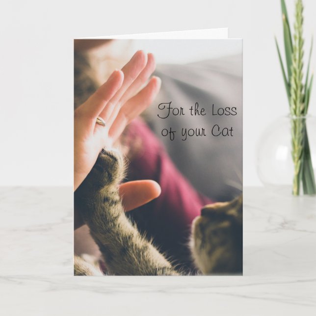 Kattpote ger high-five kort (Framsida)