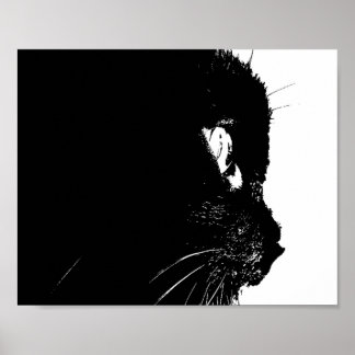 Kattprofil Poster