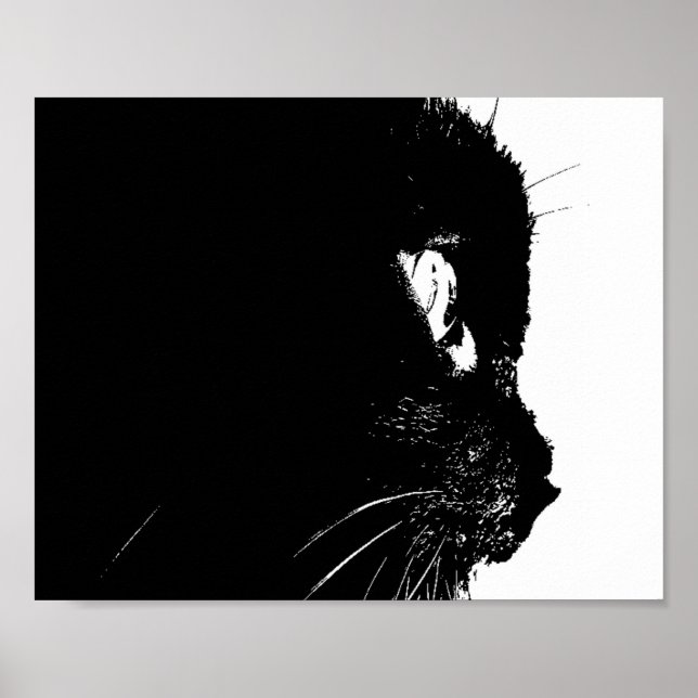 Kattprofil Poster (Framsidan)