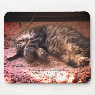 Kattpsalm 4:8 Musmattor