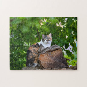 Kattpussel Pussel