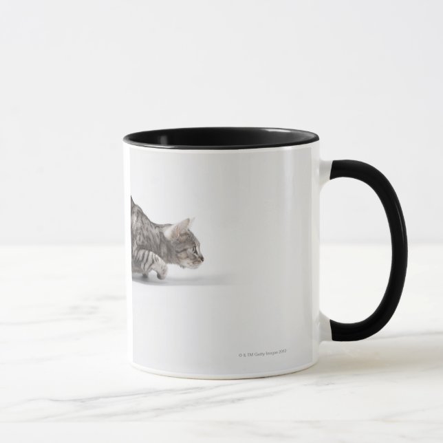 Kattredo som pounce mugg (Höger)