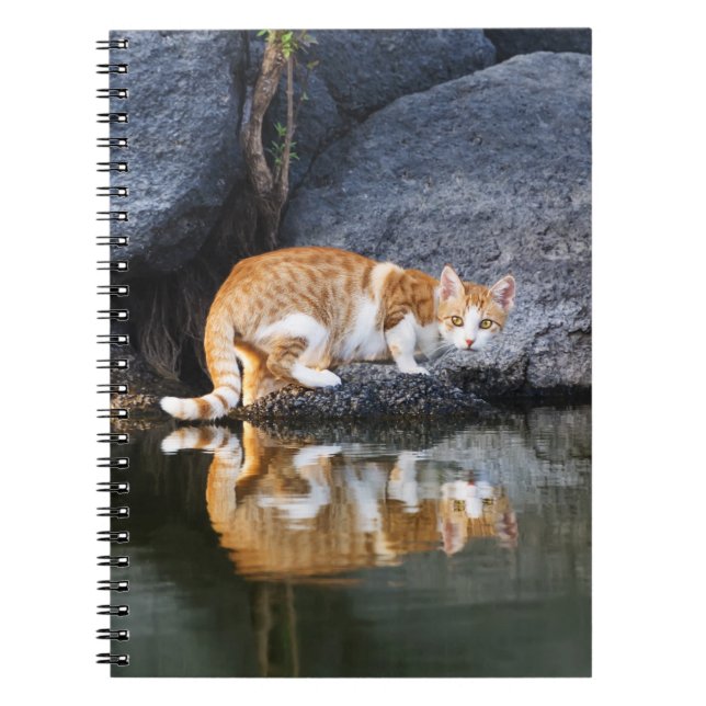 Kattreflektion i Pond Vatten Funny Photo - Anteckningsbok (Framsidan)