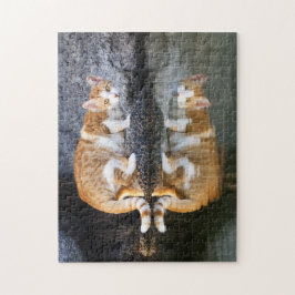 Kattreflektion i Pond Vatten, spel Pussel