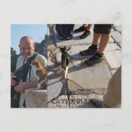 Kattregeln i Ephesus-vykort Vykort