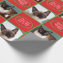 KattSanta klor som slår in papper