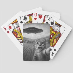 Kattselfie med UFO-fina kattgåvor Casinokort