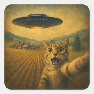 Kattselfie med UFO-fina kattgåvor Fyrkantigt Klistermärke