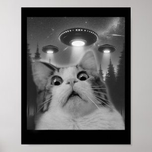 Kattselfie med Ufos Poster