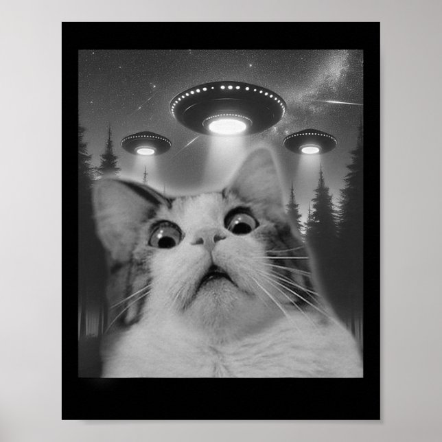Kattselfie med Ufos Poster (Framsidan)
