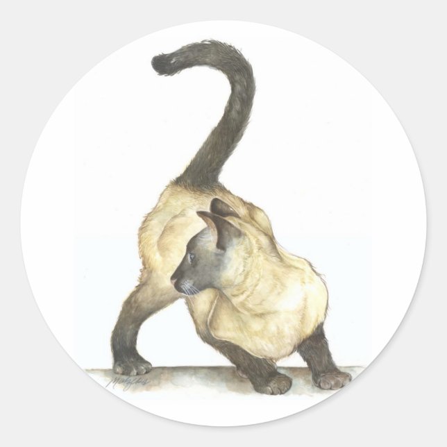 kattsiamer runt klistermärke (Framsida)