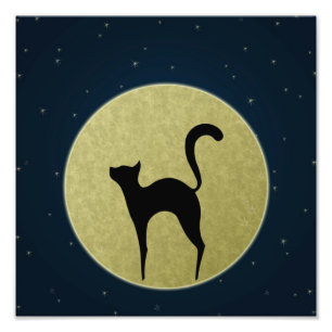 Kattsilhouette och månefototryck fototryck