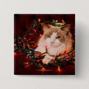 Kattsitta på en boll av jul tänder knapp