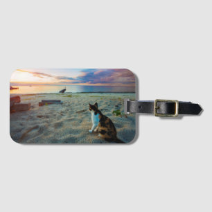 Kattsitta på en strand bagagebricka