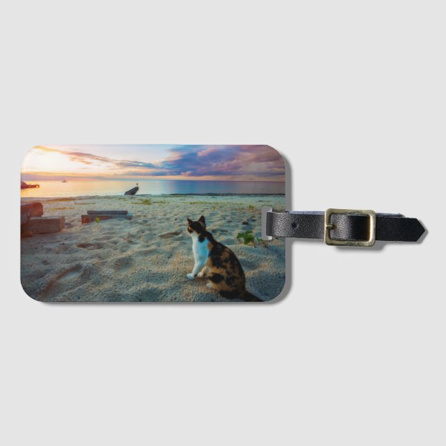 Kattsitta på en strand bagagebricka (Framsida horisontal)