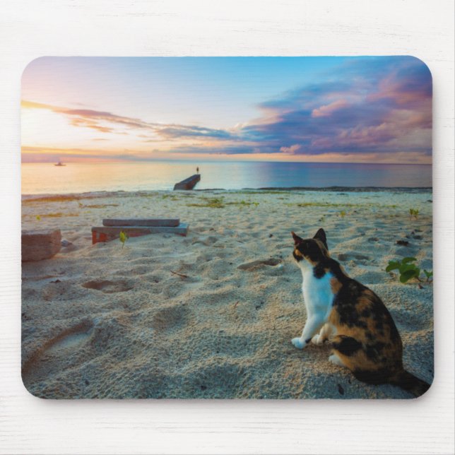 Kattsitta på en strand musmatta (Framsidan)