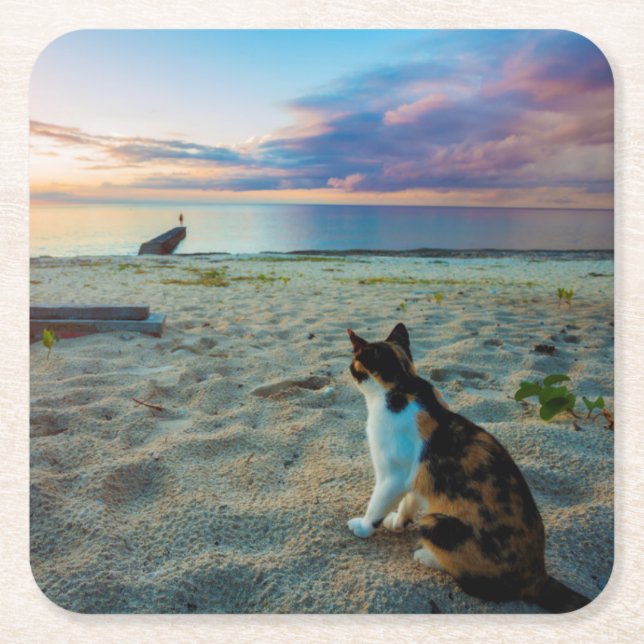 Kattsitta på en strand underlägg papper kvadrat (Framsidan)