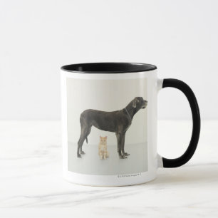 Kattsitta under great dane mugg