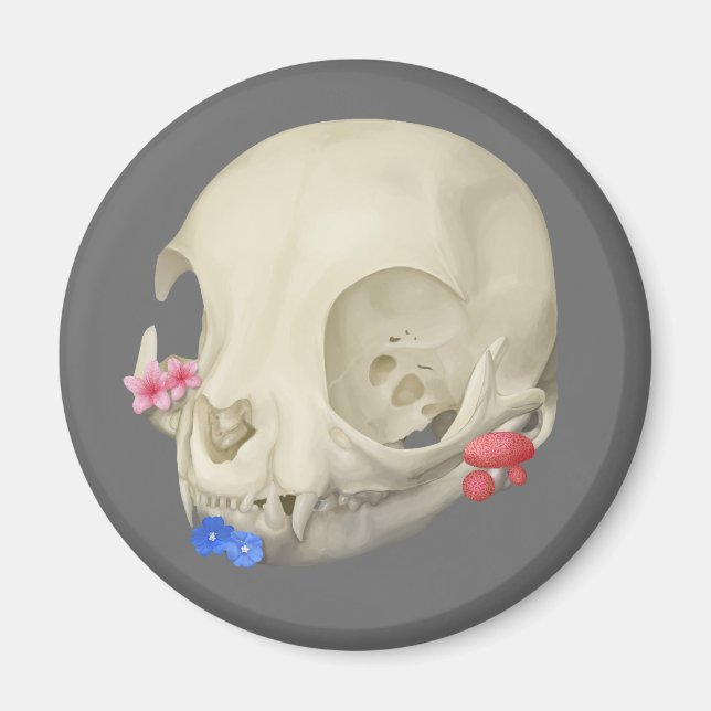 Kattskal med Flora Magnet (Framsidan)