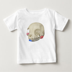Kattskal med Flora T Shirt