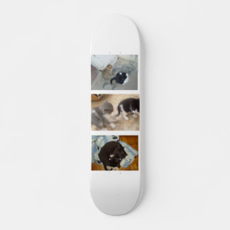 Kattskateboard Mini Skateboard Bräda 18,5 Cm