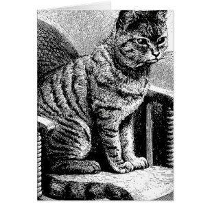 kattskiss hälsningskort