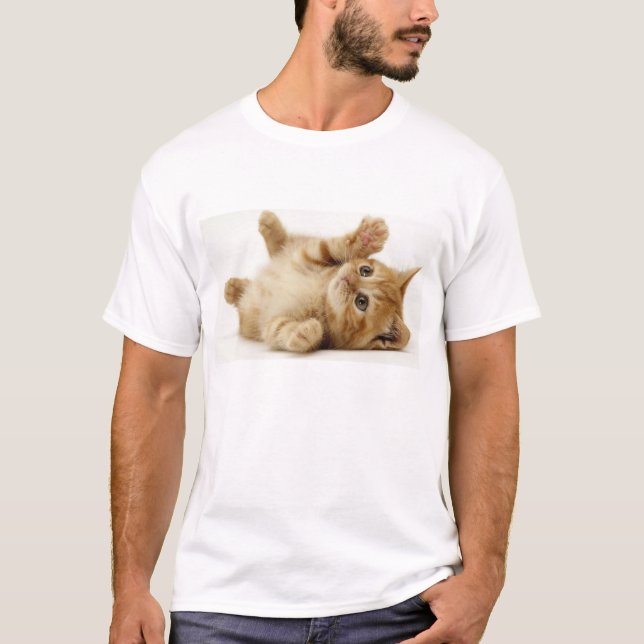 Kattskjorta T-shirt (Framsida)